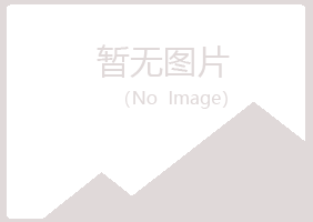 宁安夏岚音乐有限公司